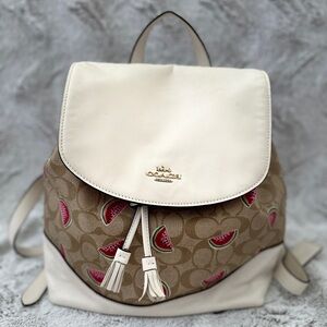 Coach Watermelon Backpack